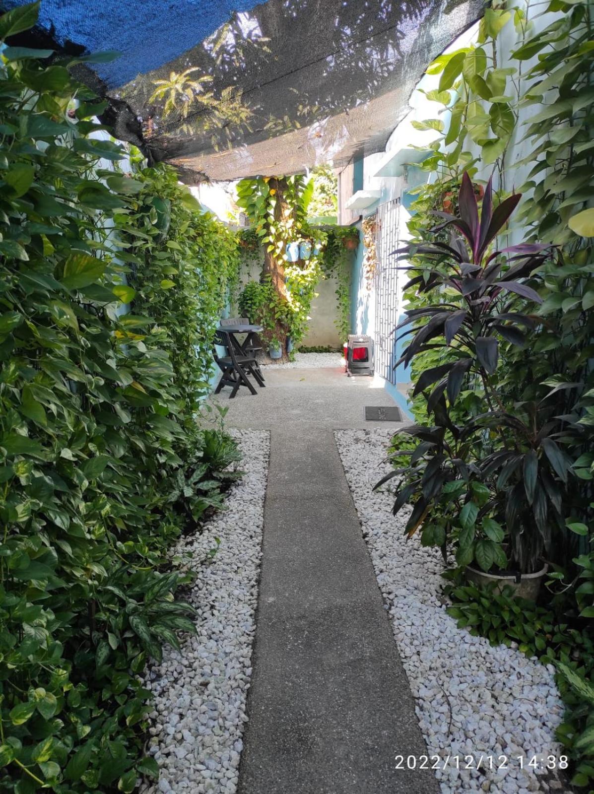 דירות Cartagena La Casa Azul מראה חיצוני תמונה