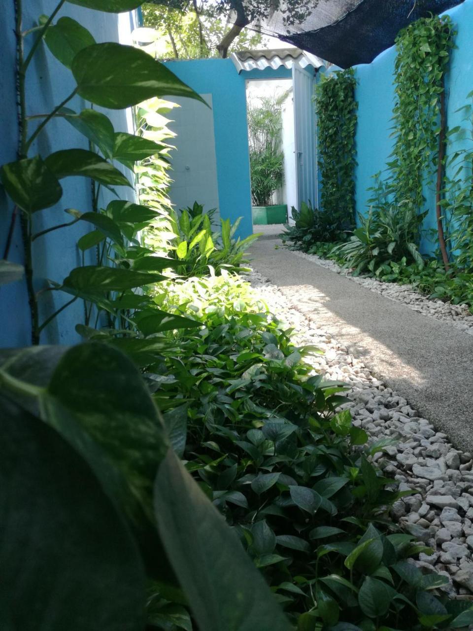 דירות Cartagena La Casa Azul מראה חיצוני תמונה